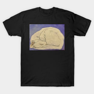 Golden Slumbers Kitty T-Shirt